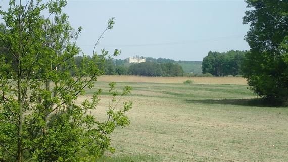 <p>Widok z trasy na janowiecki zamek</p>