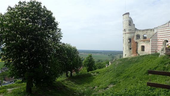 <p>Zamek Firlejów w Janowcu</p>