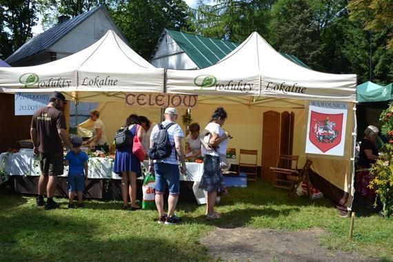 Wieńce i stoiska na Dożynkach Powiatowych Nałęczów 2018