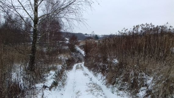 Zimowy bieg wąwozami w okolicach Wierzchoniowa, Celejowa i Witoszyna