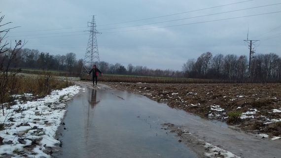 Bieg w okolicach Puław