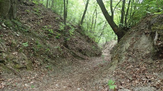 Kazimierz Dolny i okolice