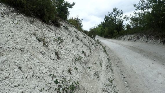 Kazimierz Dolny i okolice