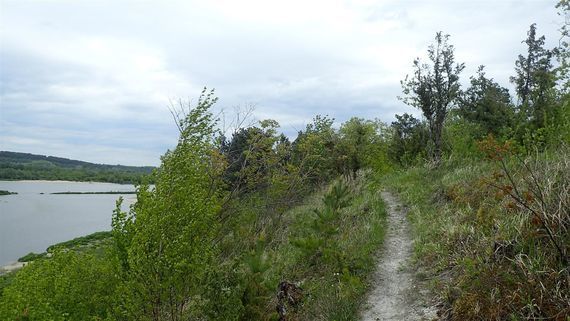 Kazimierz Dolny i okolice