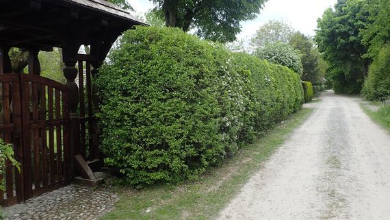 Kazimierz Dolny i okolice