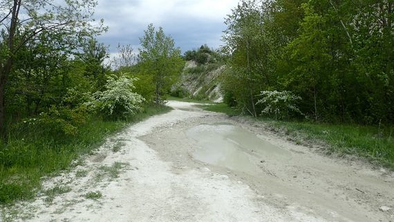 Kazimierz Dolny i okolice