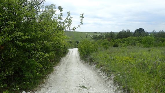 Kazimierz Dolny i okolice