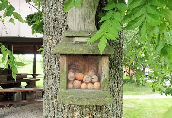 Rowerem po Końskowoli i okolicach