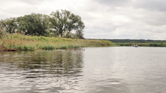 Spływ Wieprzem 