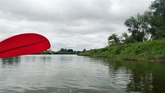 Spływ Wieprzem 