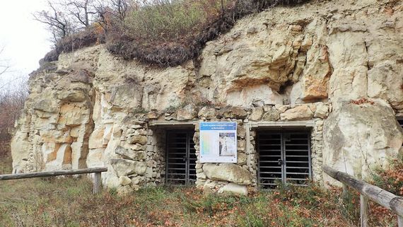 Ścianka Pożaryskich w Bochotnicy