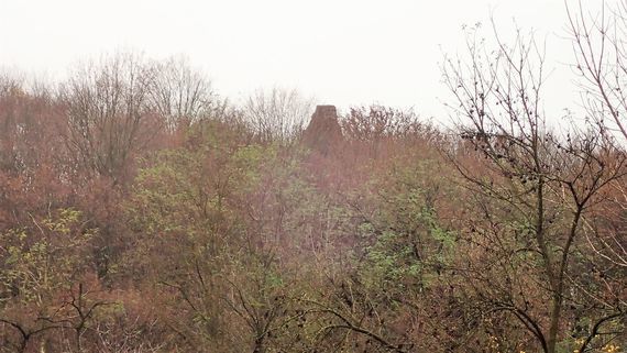 Wzgórze z ruinami Zamku Esterki