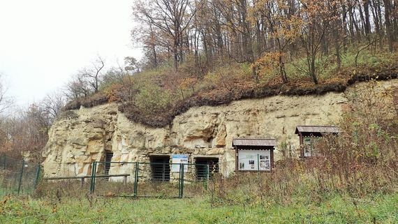 Ścianka Pożaryskich w Bochotnicy