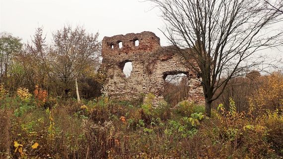Ruiny Zamku Esterki