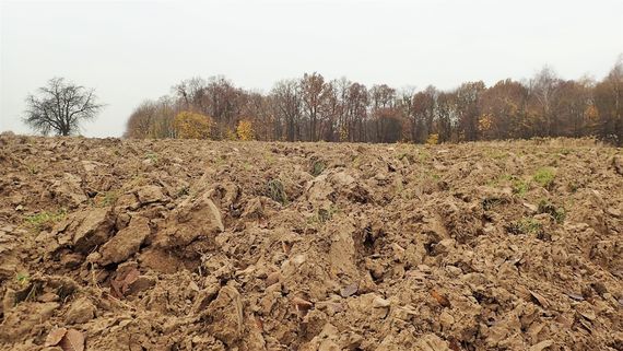 Ziemia uprawna w Zbędowicach