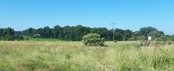 PRZETARGI USTNE NIEOGRANICZONE NA SPRZEDAŻ PRAWA WŁASNOŚCI NIEZABUDOWANYCH NIERUCHOMOŚCI POŁOŻONYCH W ŻYRZYNIE