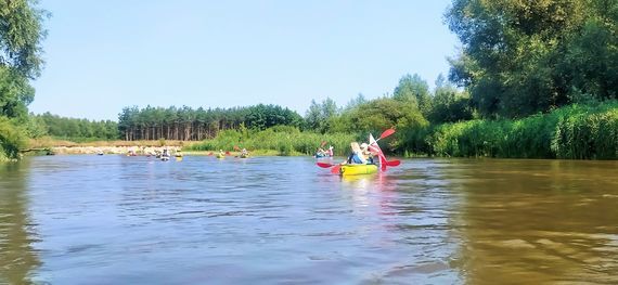 Spływ kajakowy rzeką Wieprz