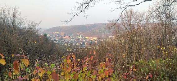 Panorama Bochotnicy