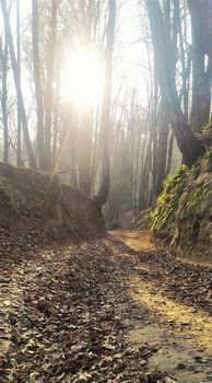 Wąwóz w Kazimierzu Dolnym w okolicach ul. Doły