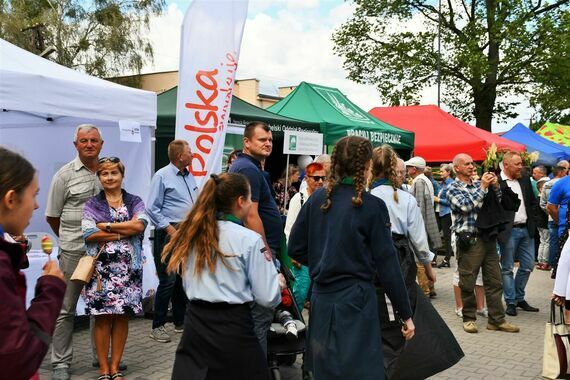 Piknik z Produktem polskim i Bitwa regionów w Gołębiu