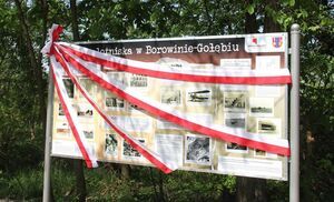 Odsłonięcie tablicy - Historia lotniska w Borowinie-Gołębiu