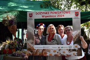 Dożynki Powiatowe Wąwolnica 2024