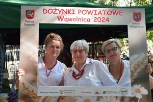 Dożynki Powiatowe Wąwolnica 2024