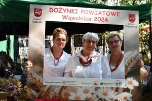 Dożynki Powiatowe Wąwolnica 2024