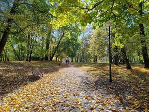 Jesień w pełni w Puławskim Parku Czartoryskich