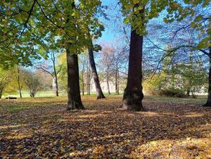 Jesień w pełni w Puławskim Parku Czartoryskich