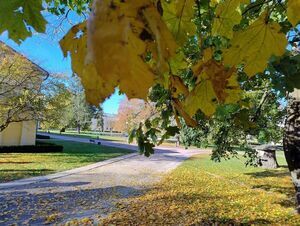 Jesień w pełni w Puławskim Parku Czartoryskich