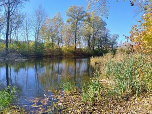Jesień w pełni w Puławskim Parku Czartoryskich