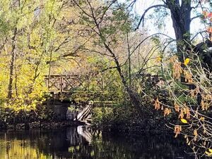 Jesień w pełni w Puławskim Parku Czartoryskich