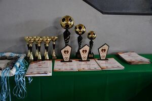 Renata Niedochodowicz