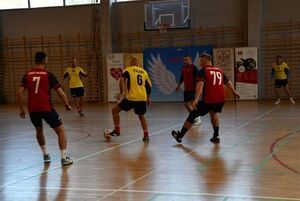 Renata Niedochodowicz