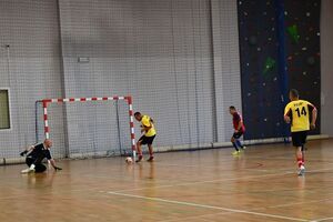 Renata Niedochodowicz