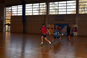 Renata Niedochodowicz