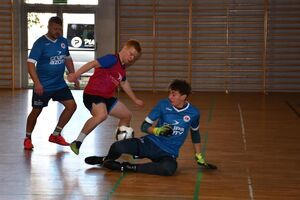 Renata Niedochodowicz