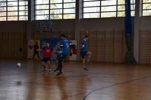 Renata Niedochodowicz