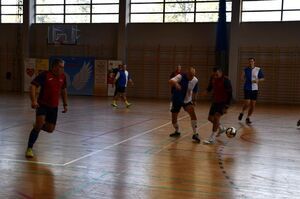 Renata Niedochodowicz