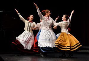 Jubileuszowy XXV Powiatowy Dzień Kultury