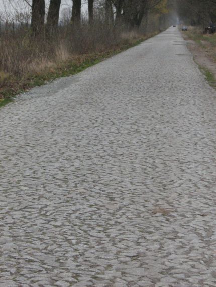 Droga z Grudzielca do Borowca