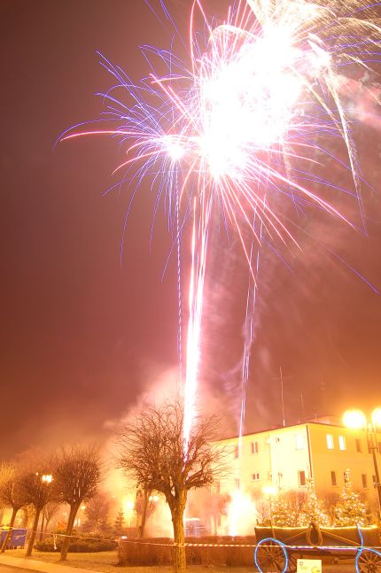 Gwiazdorynka 2007