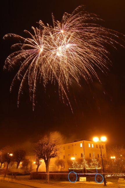 Gwiazdorynka 2007