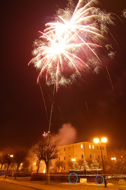 Gwiazdorynka 2007