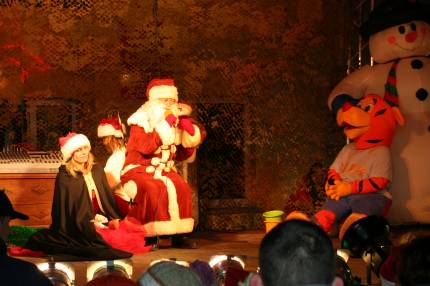 Gwiazdorynka 2007