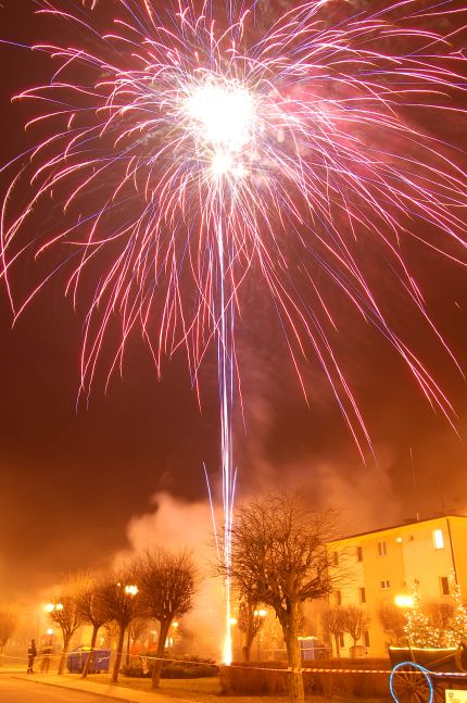 Gwiazdorynka 2007
