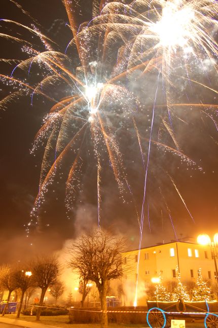 Gwiazdorynka 2007