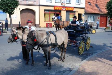 Dożynki Gminne Głogowa 2008