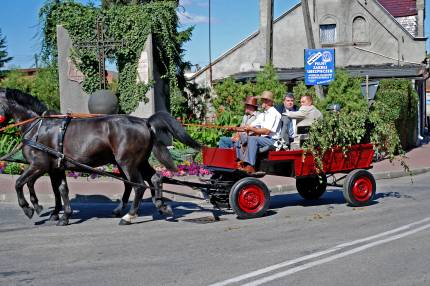 Dożynki Gminne Głogowa 2008